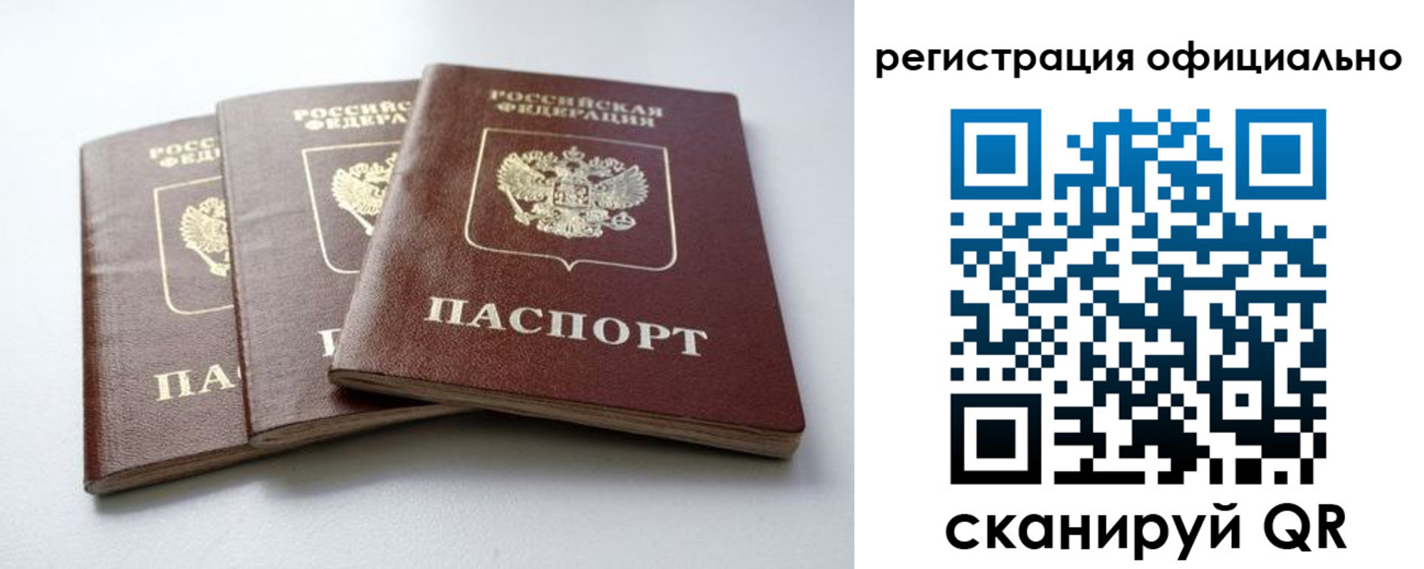 прописка паспорт в Александровске