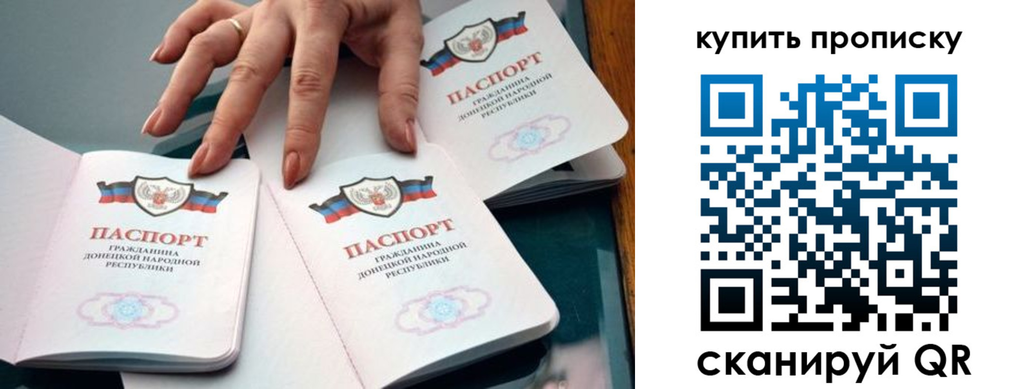 где прописаться в Александровске